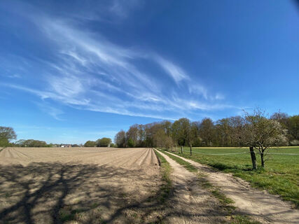 Auf dem KlosterWanderweg
