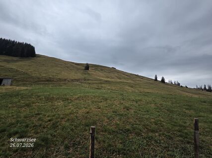 Foto von Massimo Romano 2 entlang der Tour
