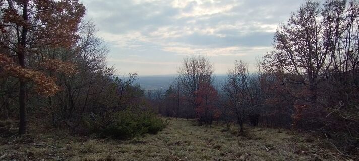 Foto von Christine Fischer entlang der Tour