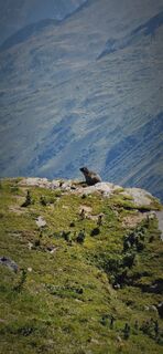 Photo de Isabella Schwaiger-Moser le long du parcours