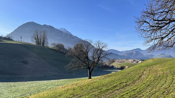 Photo de Boris Schickedanz le long du parcours