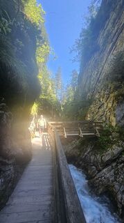 Foto de Boba Weishaar a lo largo del recorrido