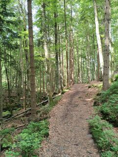 Fotografia z Josef Kauschinger na trase