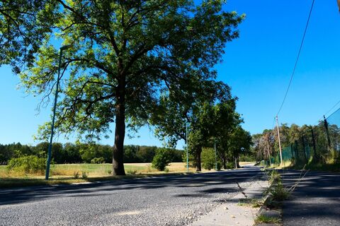 Straße Richtung Wald - Dreißigacker