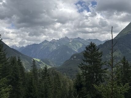 Foto von Grizzli entlang der Tour