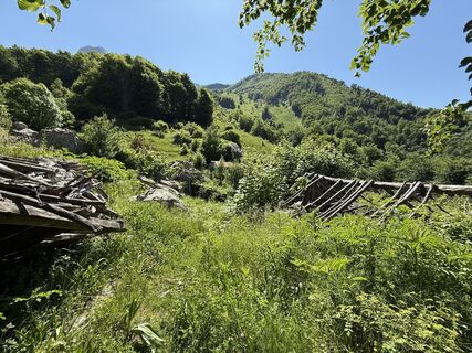 Photo de Hanni Krieger le long du parcours
