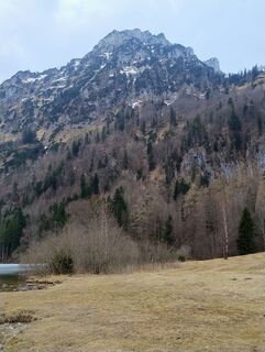 Fotografie z Carinossi na trase