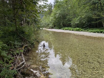Eulenweg im Steinbachtal, Göstling an der Ybbs