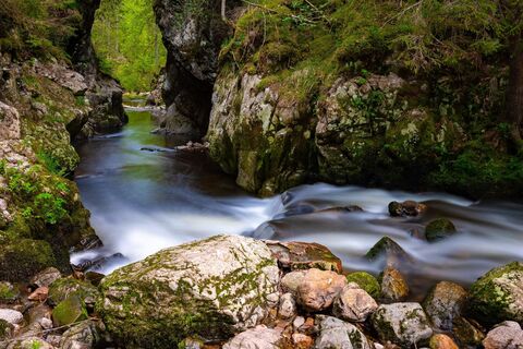 Haslachschlucht - Höllochfelsen