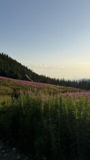 Fotografie z Tomasz Palicki na trase