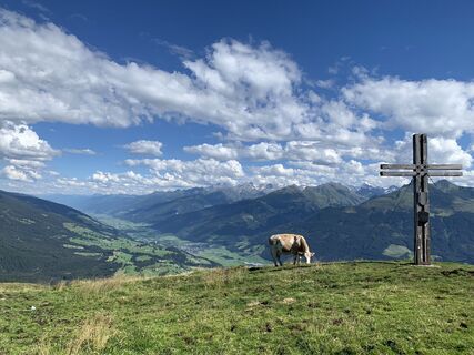 Foto da Koen De Wit lungo il tour