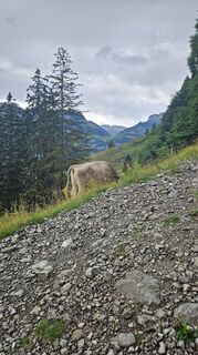 Foto von Rita entlang der Tour