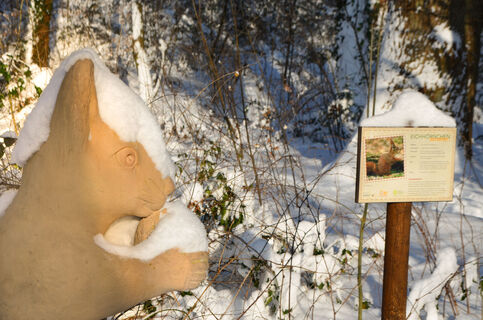 Eichhörnchen am Wanderweg Stukenbrocker Zeitreise in Schloß Holte-Stukenbrock