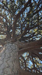 Fotografia z EP87 na trase