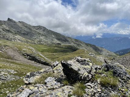 Fotografija s spletne strani David na poti