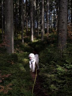Foto fra Florian H. 2 undervejs på turen