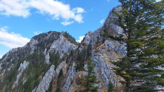 Zdjęcie z RobuC wzdłuż trasy