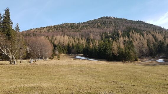 steinschlaggefährdete Forststraße