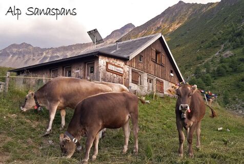 Alp Sanaspans