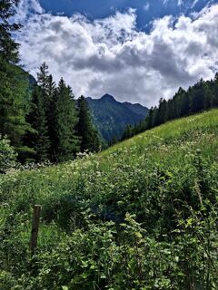 Foto von Victor Chyzh entlang der Tour