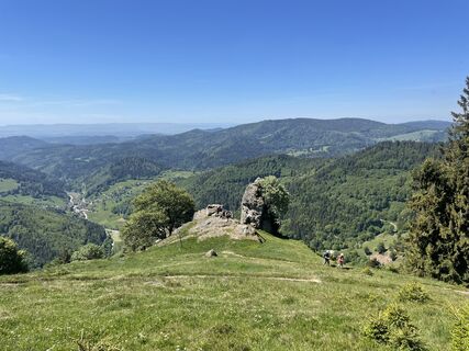 Photo de Ralf Umminger le long du parcours