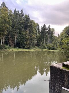 Foto von Cyrill Bischof entlang der Tour