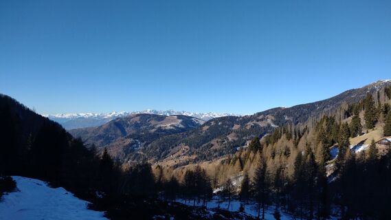 Fotografija s spletne strani oscarpette82 na poti
