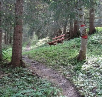 nettes Plätzchen zum Ausruhen