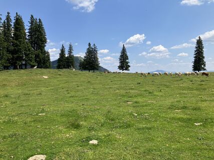 Foto von Groiß Markus entlang der Tour