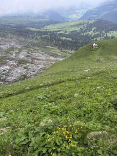 Foto von David Lochmann entlang der Tour