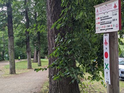 Schilderbaum im Brühl vis-á-vis eines alten Grenzsteines