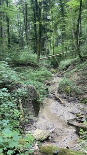 Foto von Peter Burki entlang der Tour