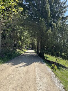 Photo de Heinz Sperl le long du parcours