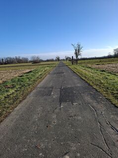 Fotografija s spletne strani Ivankovitsmonika01 na poti