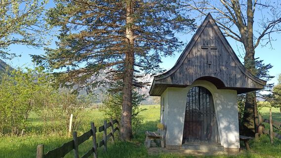 Foto von Bergpirat entlang der Tour