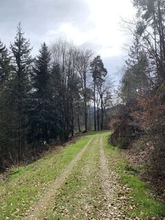 Foto von Kristina 1 entlang der Tour