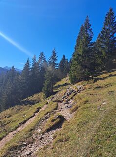 Foto von dummy125 entlang der Tour