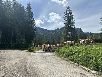 Fotografie de la justasimpleguy de-a lungul turului