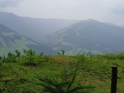 Foto von Fantom RoK entlang der Tour