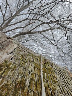 Fotografija s spletne strani Lena Eder na poti