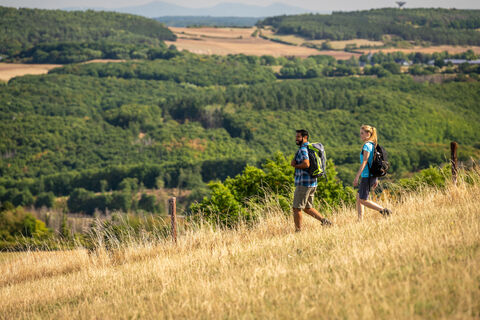 ET-2022-078-Lorbach-EifelSpur _Soweit das Auge reicht_-@Eifel Tourismus GmbH, Dominik Ketz