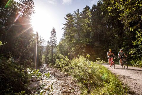 Sonnige Radtour im Wald
