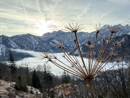 Zdjęcie z Natur_erleben_dg wzdłuż trasy