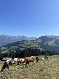 Fotografie z böcki2010 na trase