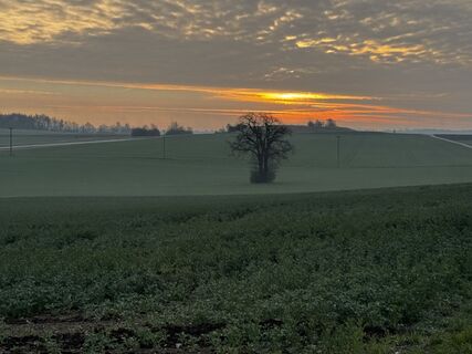 Foto von Schaali entlang der Tour