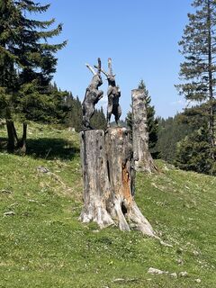 Foto von Martin entlang der Tour