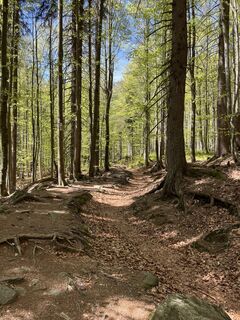Foto von Daniel Groß entlang der Tour