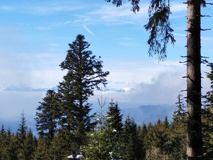 Fotografija s spletne strani v.stein na poti