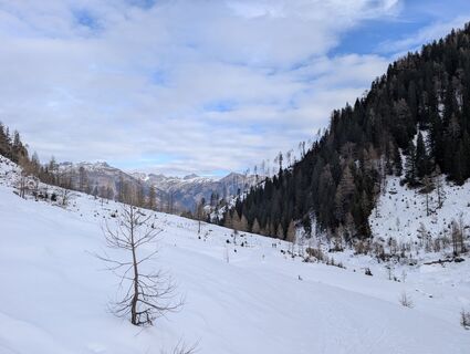Fotografia z Franz Dvoran na trase