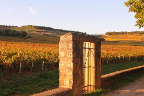 Givry et Poncey randonnée automne (11)